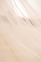 V01